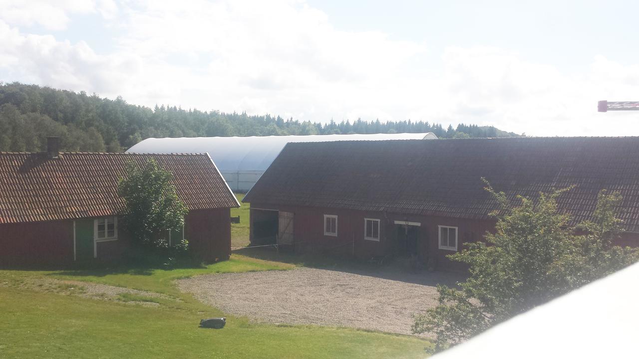 Gardsdroem B&B อุลลาเรียด ภายนอก รูปภาพ