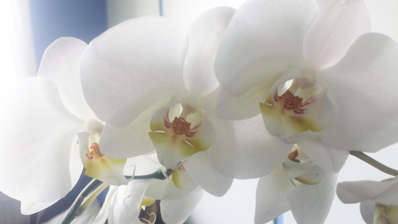 Gardsdroem B&B อุลลาเรียด ภายนอก รูปภาพ